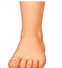 C'est un pied.