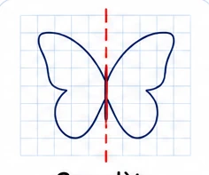 Complète par symétrie