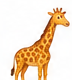C'est une girafe.