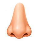 C'est un nez.