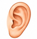 C'est un oreille.