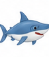 C'est un requin.