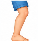 Ce sont des jambes.