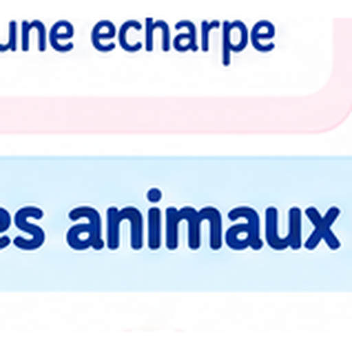 C'est une étoile de mer.